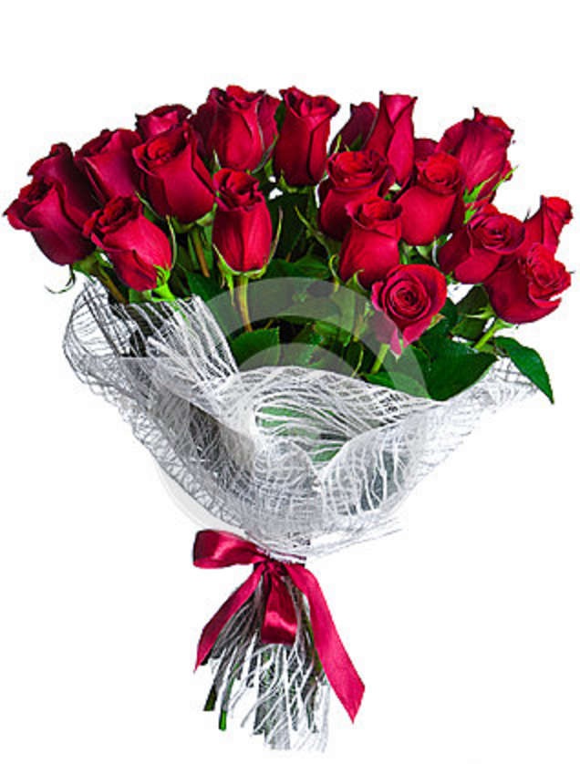 15 fresh red roses 15 fresh red roses
